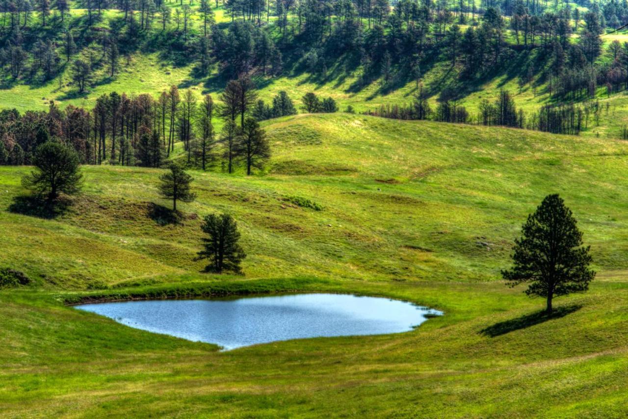 Coyote Blues Village Bed & Breakfast Silver City Екстер'єр фото