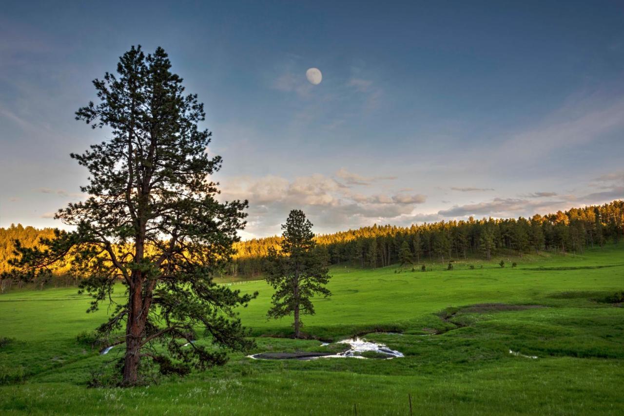 Coyote Blues Village Bed & Breakfast Silver City Екстер'єр фото
